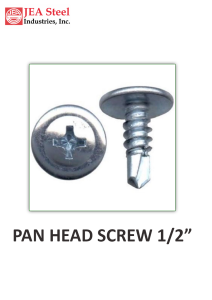 Pan Head Screw 1/2"